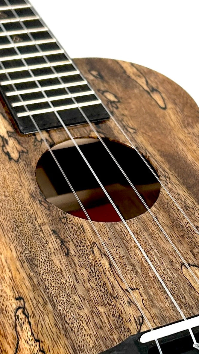 Rebel Double Creme Concert gloss #66