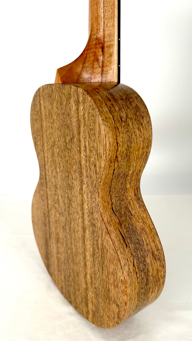 Rebel Double Creme Concert matt #40