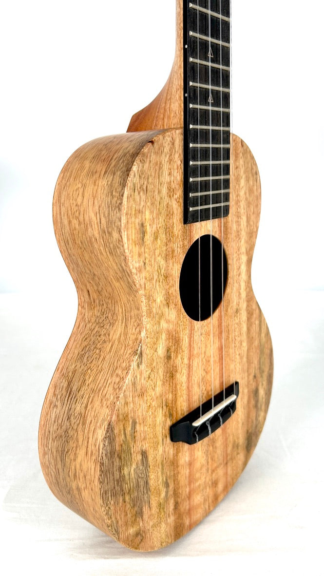 Rebel Double Creme Concert matt #48