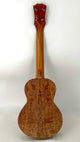 Rebel Double Creme Tenor gloss #51
