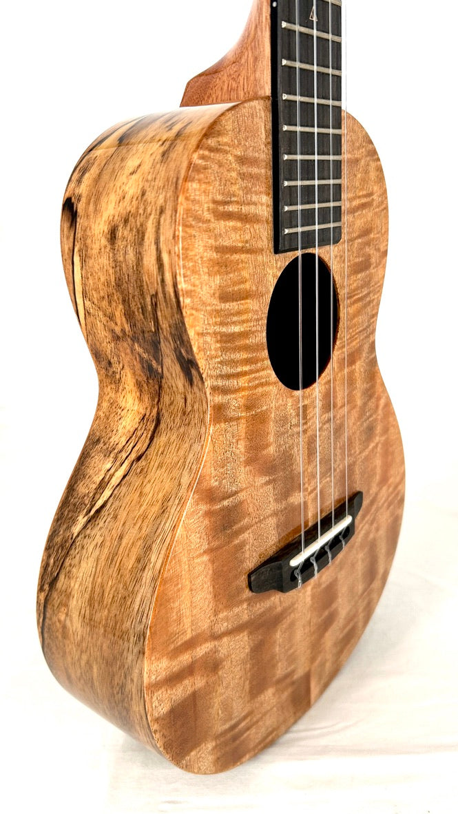 Rebel Double Creme Tenor gloss #55