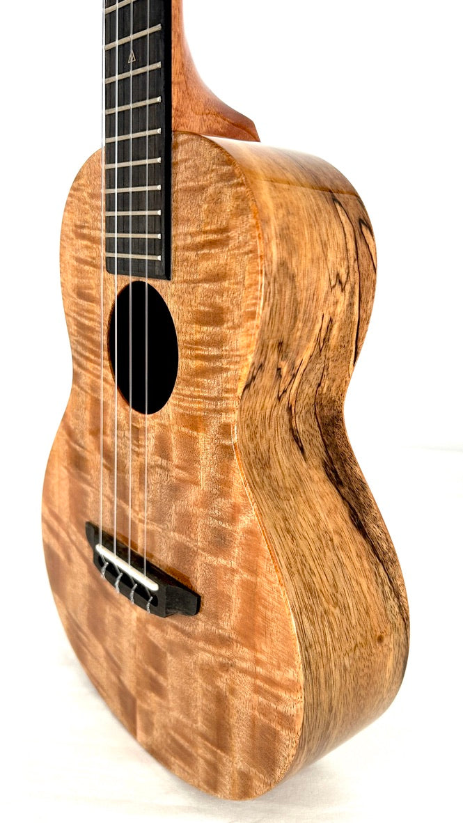 Rebel Double Creme Tenor gloss #55