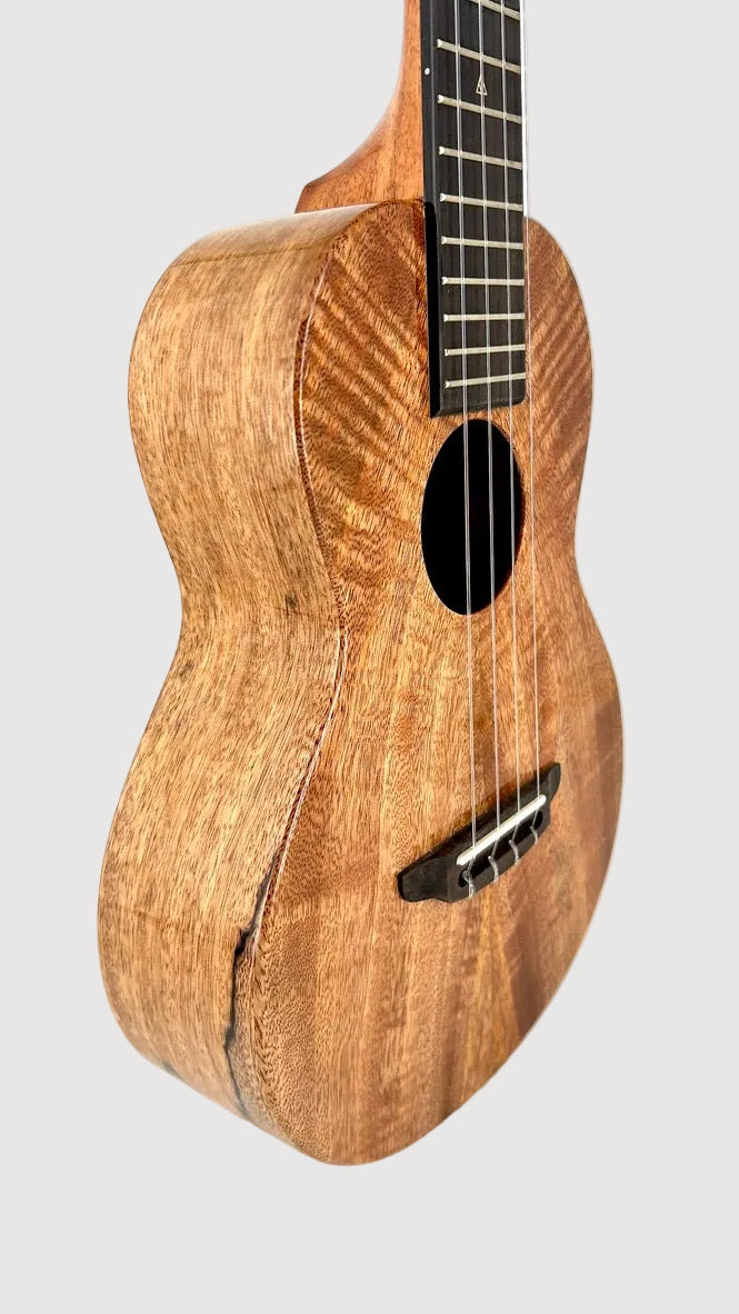 Rebel Double Creme Tenor gloss #61