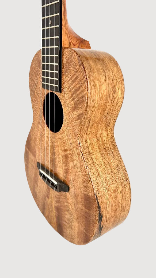 Rebel Double Creme Tenor gloss #61