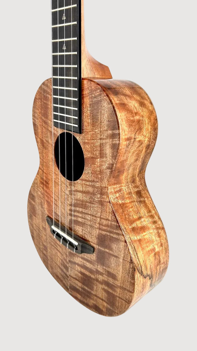Rebel Double Creme Tenor gloss #63