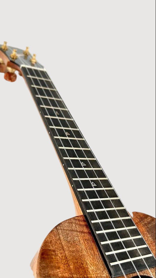 Rebel Double Creme Tenor gloss #63