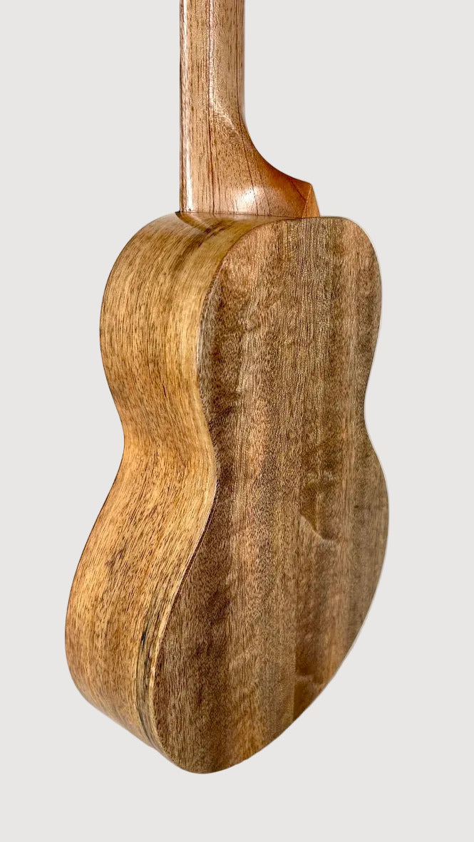 Rebel Double Creme Tenor matt #47