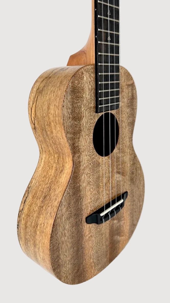 Rebel Double Creme Tenor matt #47