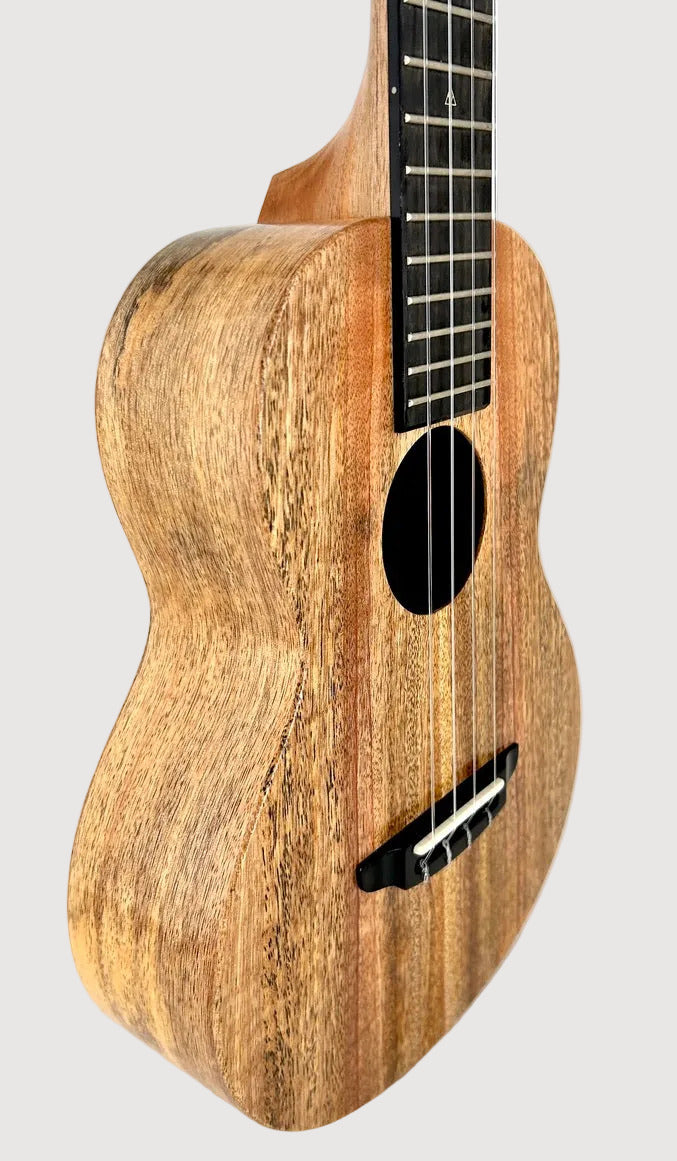 Rebel Double Creme Tenor matt #48