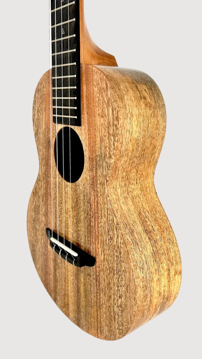 Rebel Double Creme Tenor matt #48