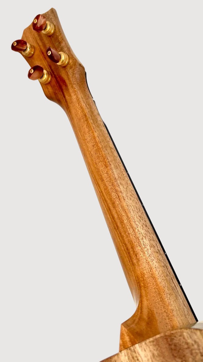 Rebel Double Creme Tenor matt #48