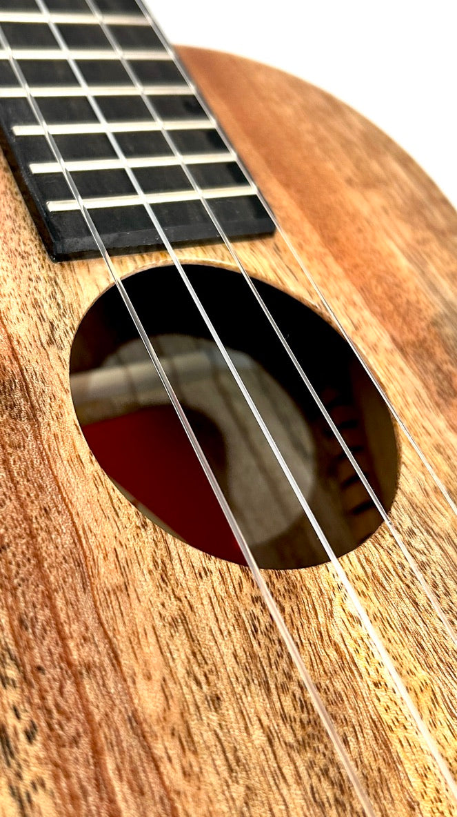 Rebel Double Creme Tenor matt #48
