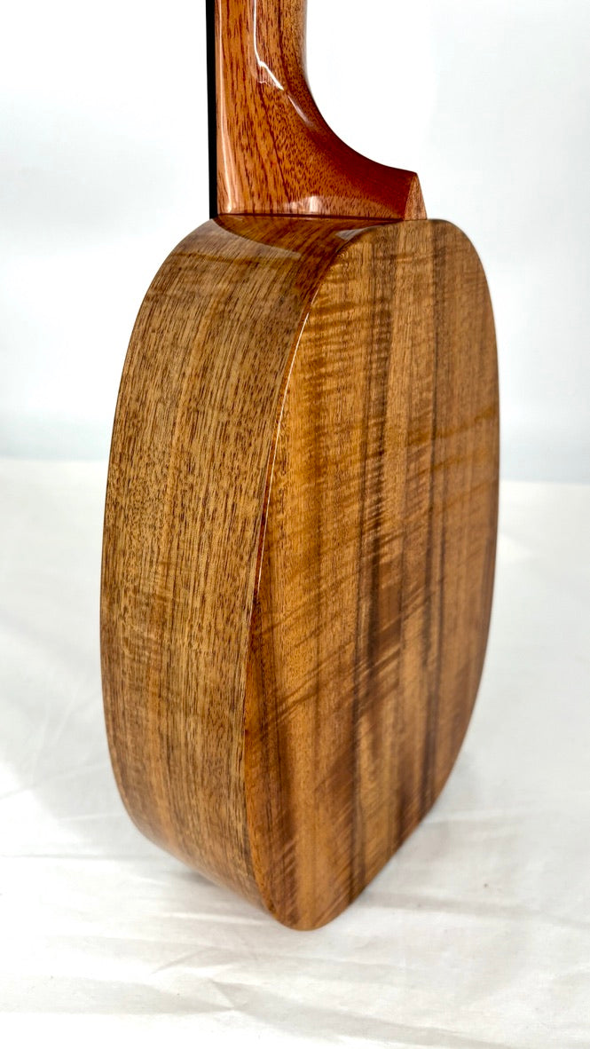 Rebel Pineapple Tenor Acacia mit Soundport