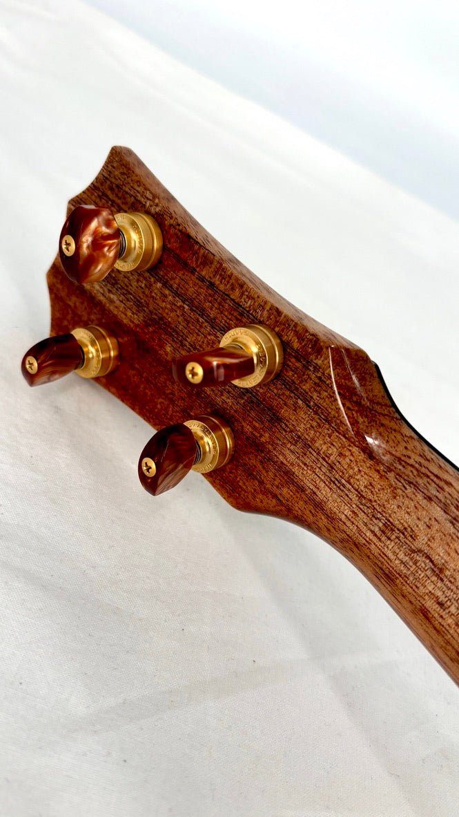 Rebel Pineapple Tenor Acacia mit Soundport