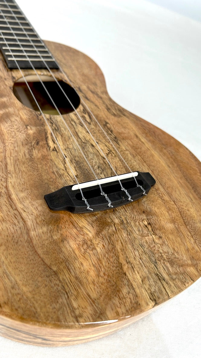 Rebel Creme brulee Concert Longneck gloss #13