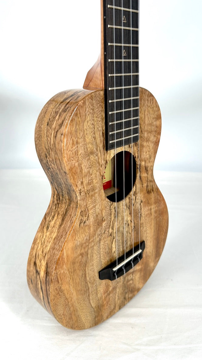 Rebel Creme brulee Concert Longneck gloss #13