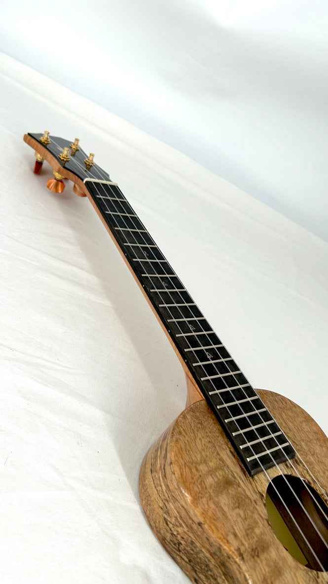 Rebel Creme brulee Concert Longneck gloss #13