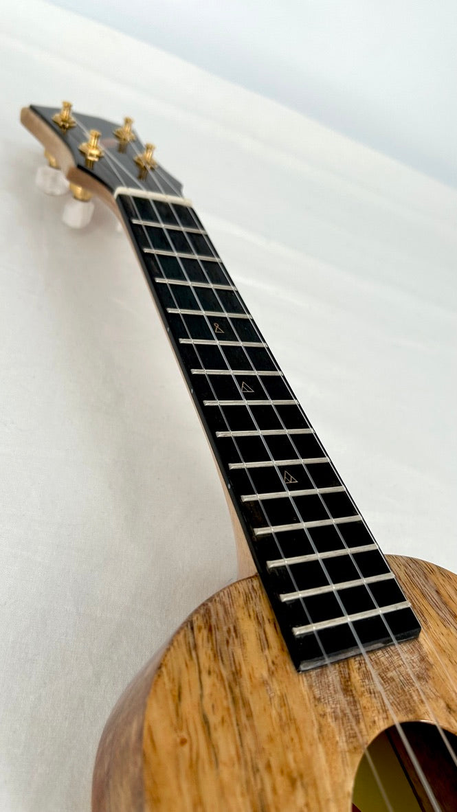 Rebel Creme brulee Sopran gloss #31