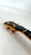 Rebel Double Creme Concert Longneck gloss #29
