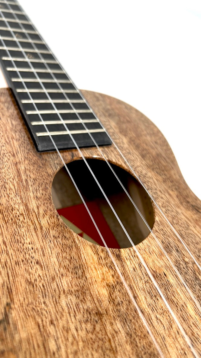 Rebel Double Creme Concert Longneck gloss #29