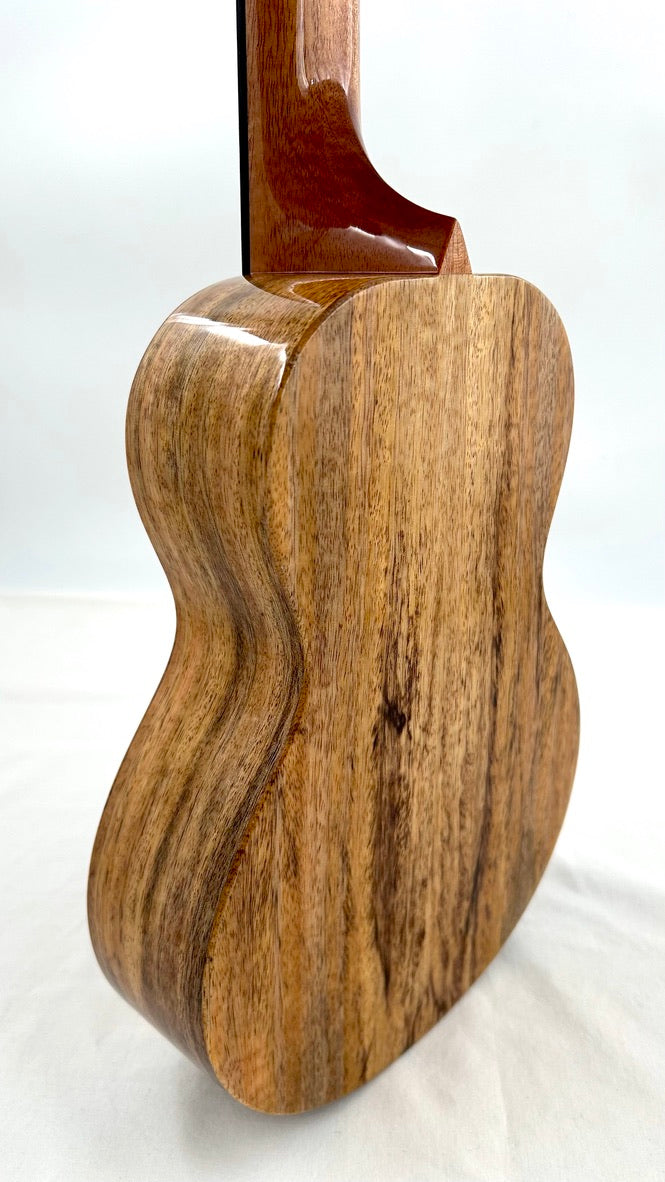 Rebel Double Creme Concert Longneck gloss #30