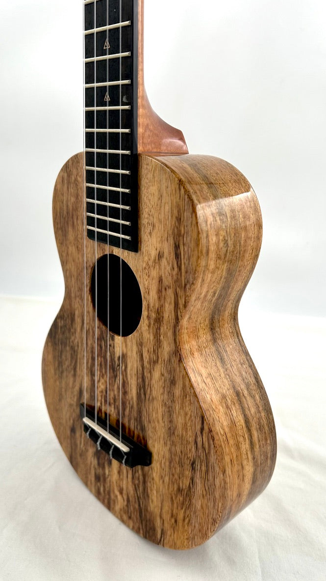 Rebel Double Creme Concert Longneck gloss #30