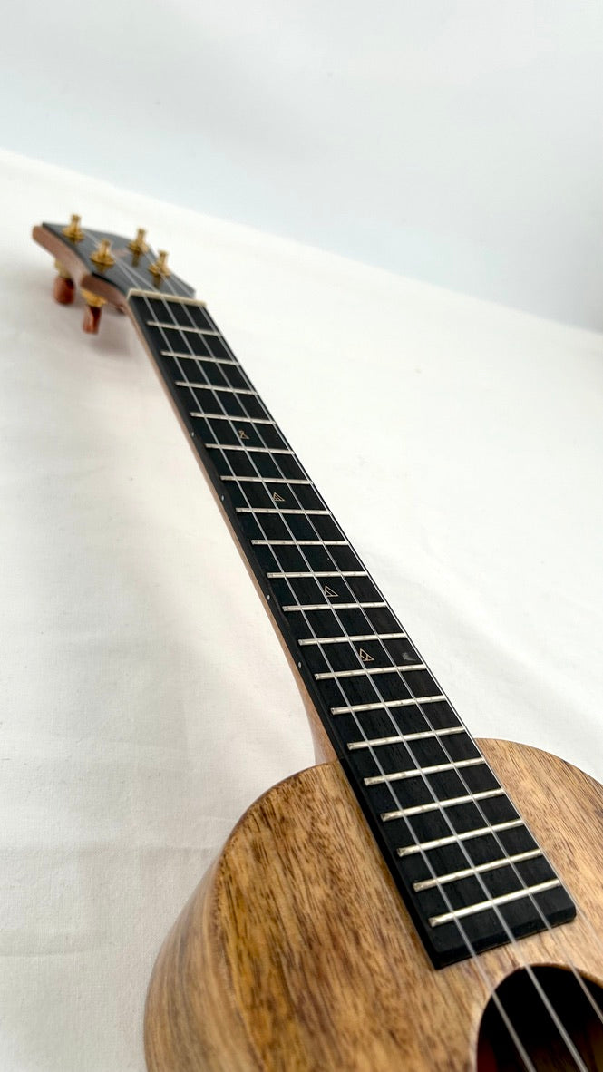 Rebel Double Creme Concert Longneck gloss #30