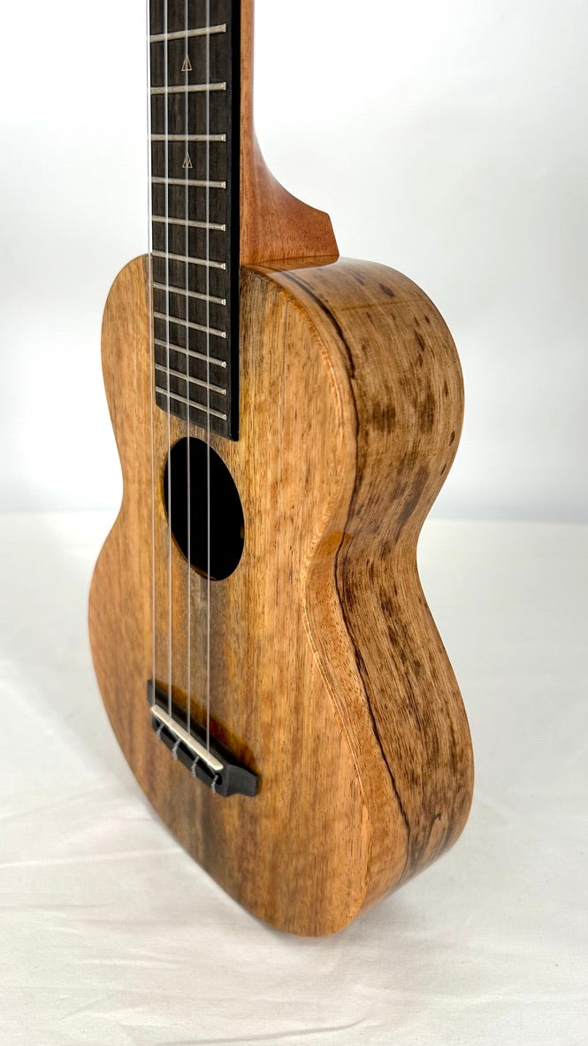 Rebel Double Creme Concert Longneck gloss #31