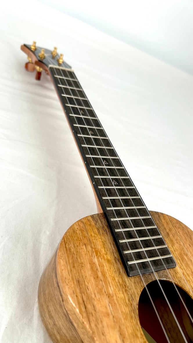 Rebel Double Creme Concert Longneck gloss #31