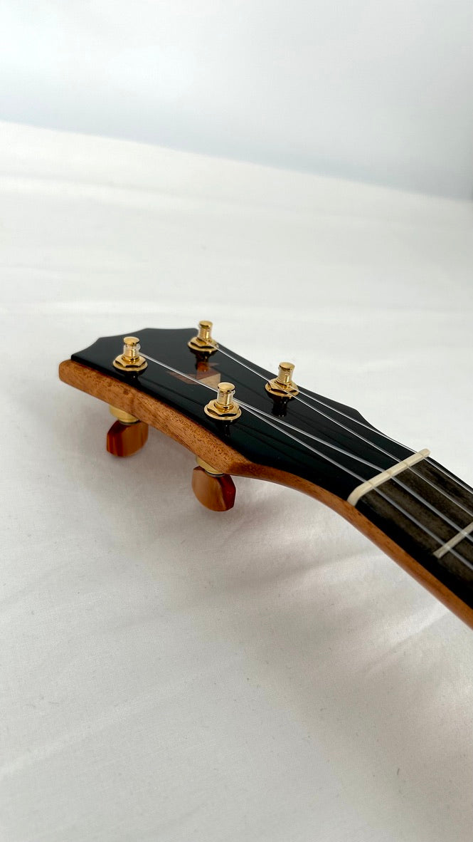 Rebel Double Creme Concert Longneck gloss #31