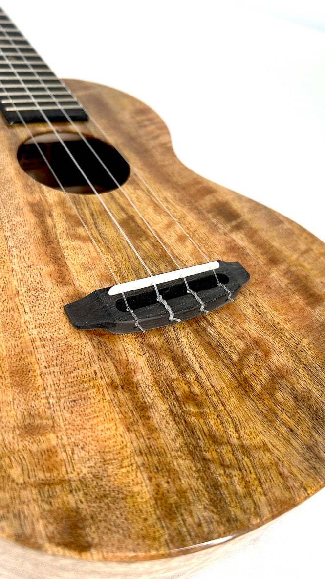 Rebel Double Creme Concert gloss #60