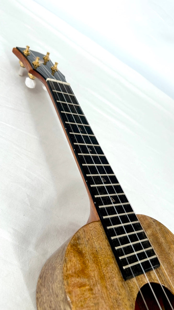 Rebel Double Creme Concert gloss #60