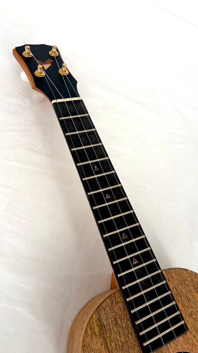 Rebel Double Creme Concert matt #46