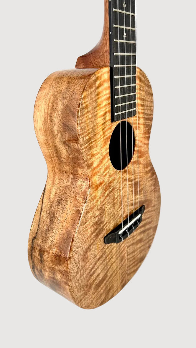 Rebel Double Creme Tenor gloss #60