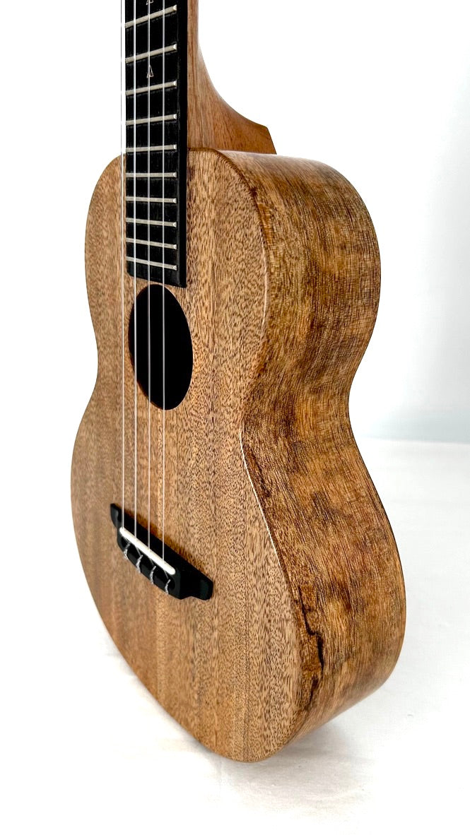 Rebel Double Creme Tenor matt #45