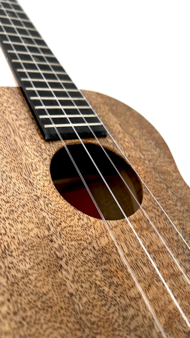 Rebel Double Creme Tenor matt #45