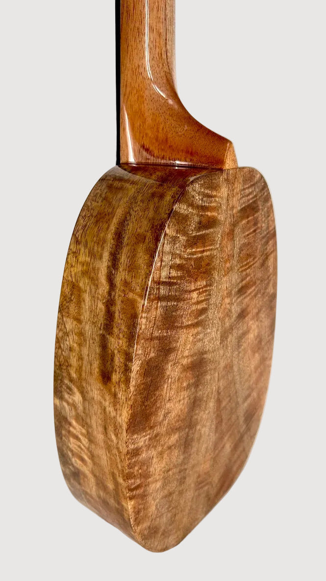 Rebel "Pi" Pineapple Sopran #1