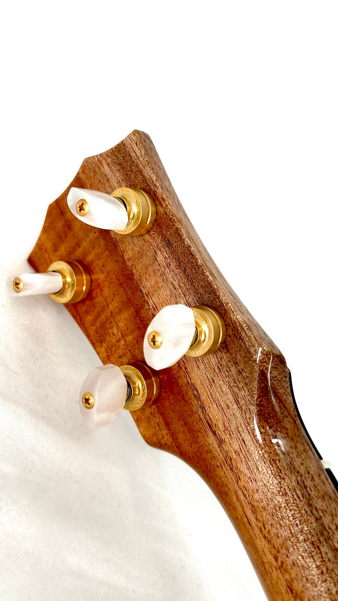 Rebel "Pi" Pineapple Sopran #1