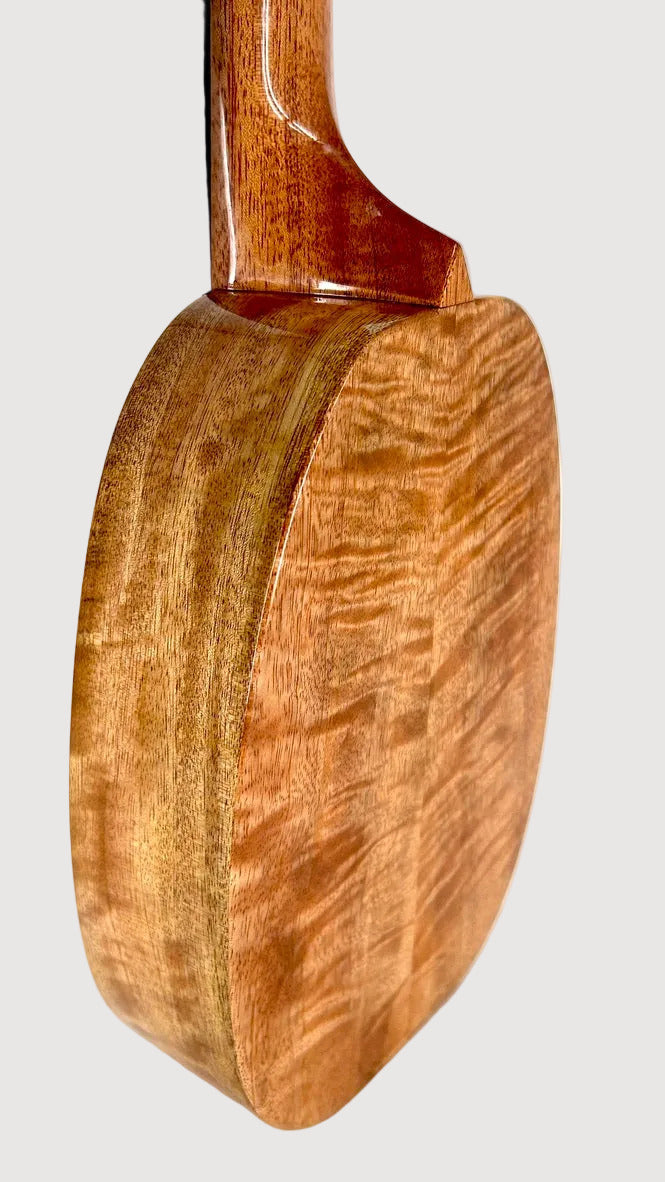 Rebel "Pi" Pineapple Sopran #2