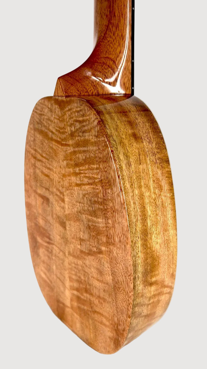 Rebel "Pi" Pineapple Sopran #2