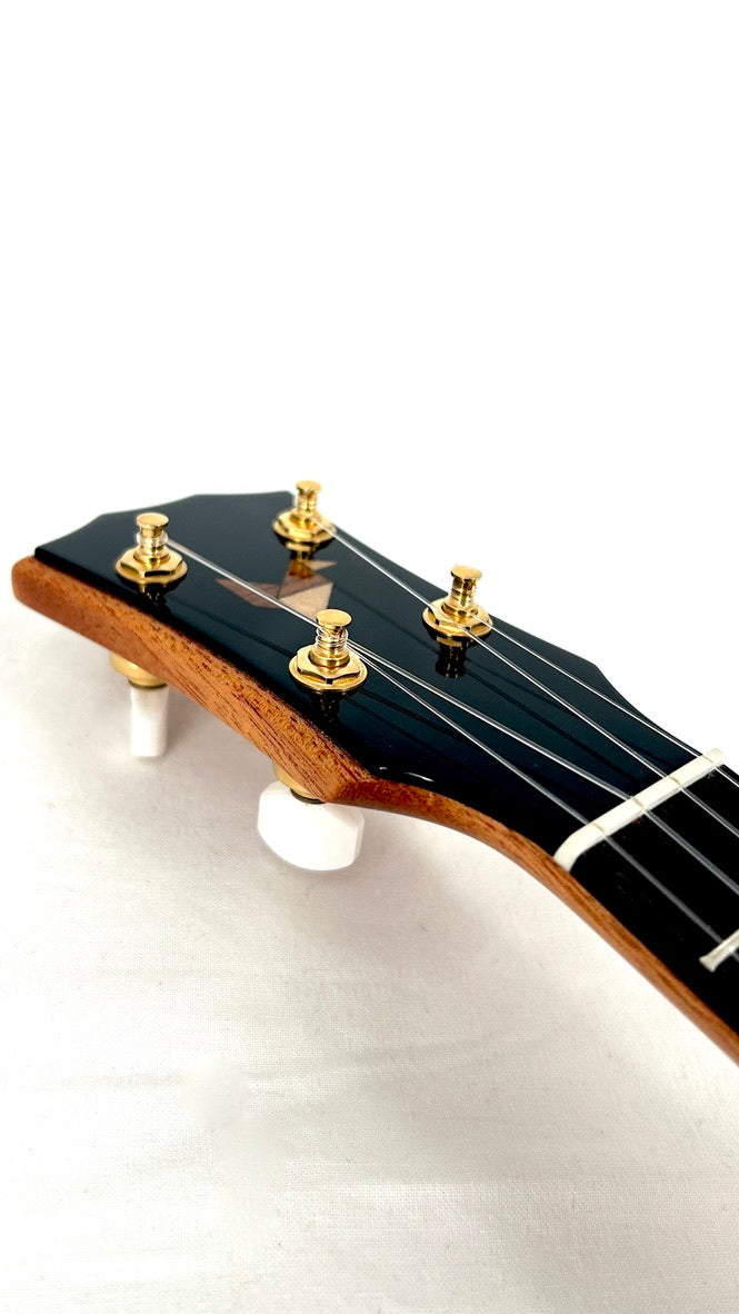 Rebel "Pi" Pineapple Sopran #2