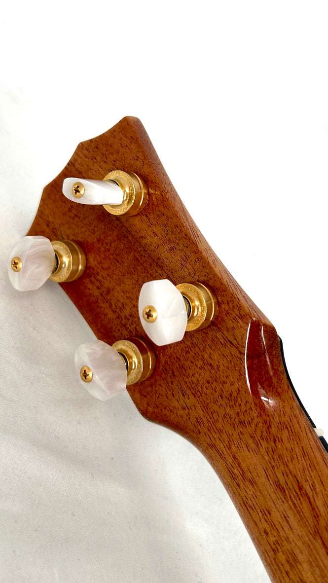 Rebel "Pi" Pineapple Sopran #2