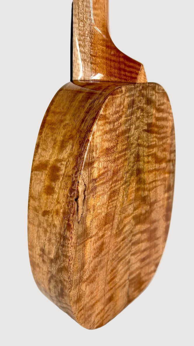 Rebel "Pi" Pineapple Sopran #3