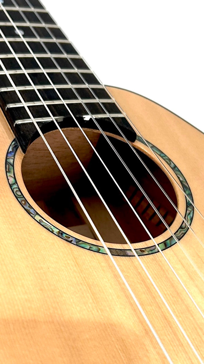 Romero Creations Daniel Ho Guitarlele