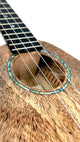 Romero Creations Tiny Tenor Mango