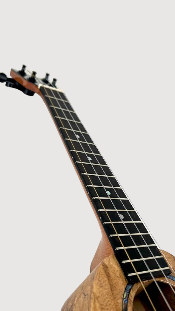 Romero Creations Tiny Tenor Mango
