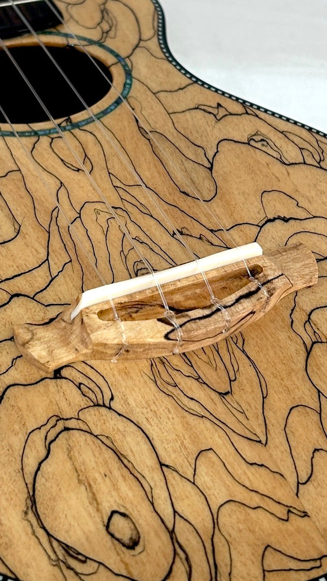 Naturel Concert Spalted Maple