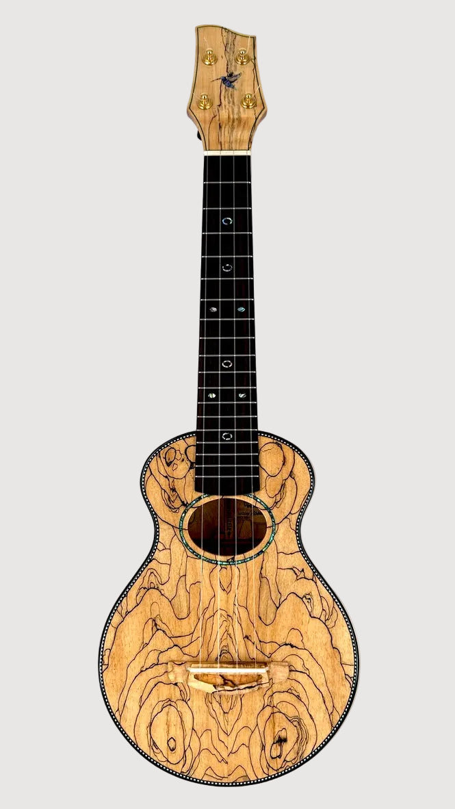 Naturel Concert Spalted Maple