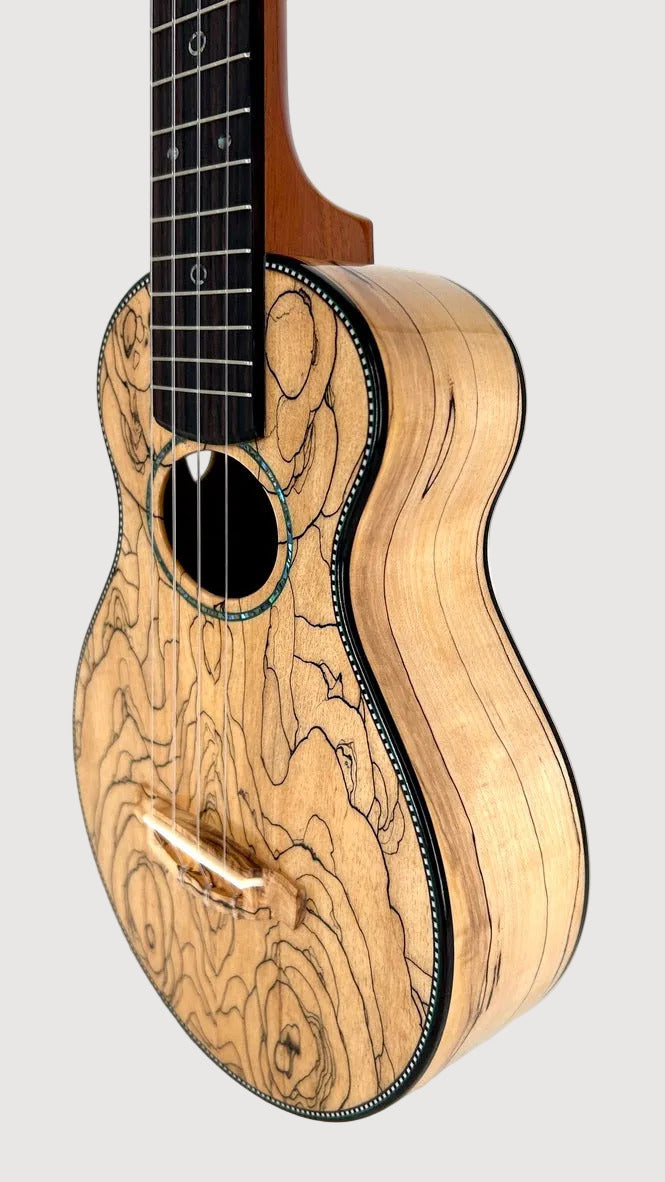 Naturel Concert Spalted Maple