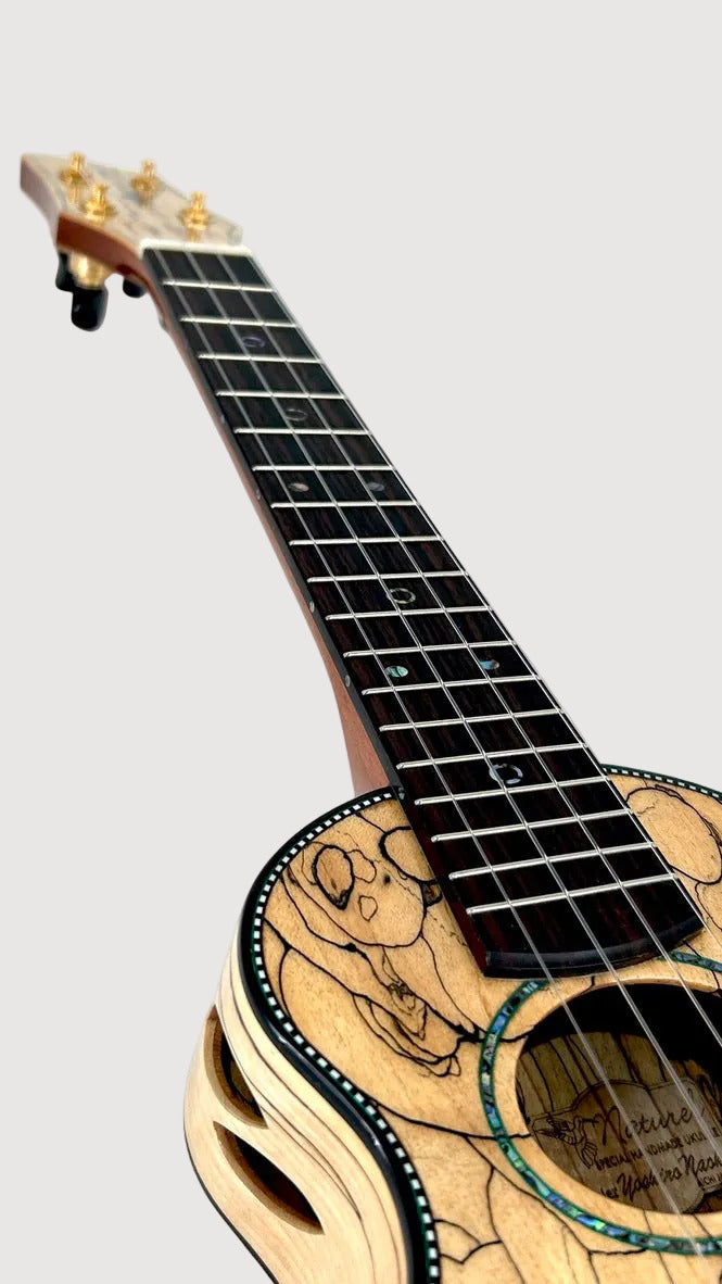 Naturel Concert Spalted Maple